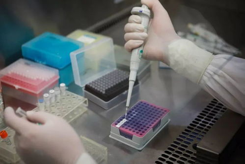 巴彦淖尔市下调核酸检测价格 优化信息系统运行维护服务