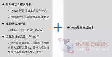 端小平谈高性能纤维 产业化技术迈入新阶段，信息系统运维服务同步升级