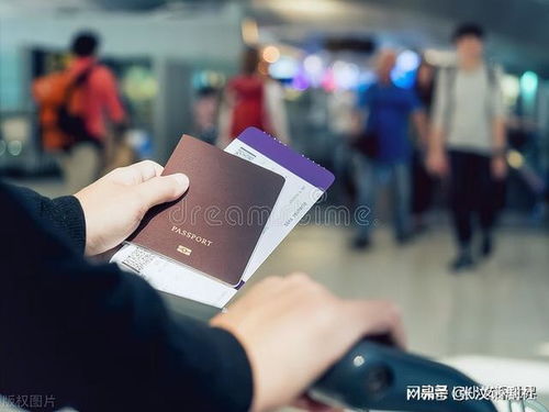 男子为女友送行买票不登机被捕 航空安全与信息系统运行维护服务的重要性